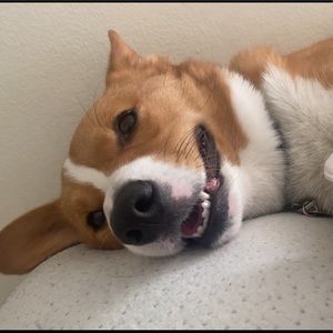 Meet your Posher, Hailey